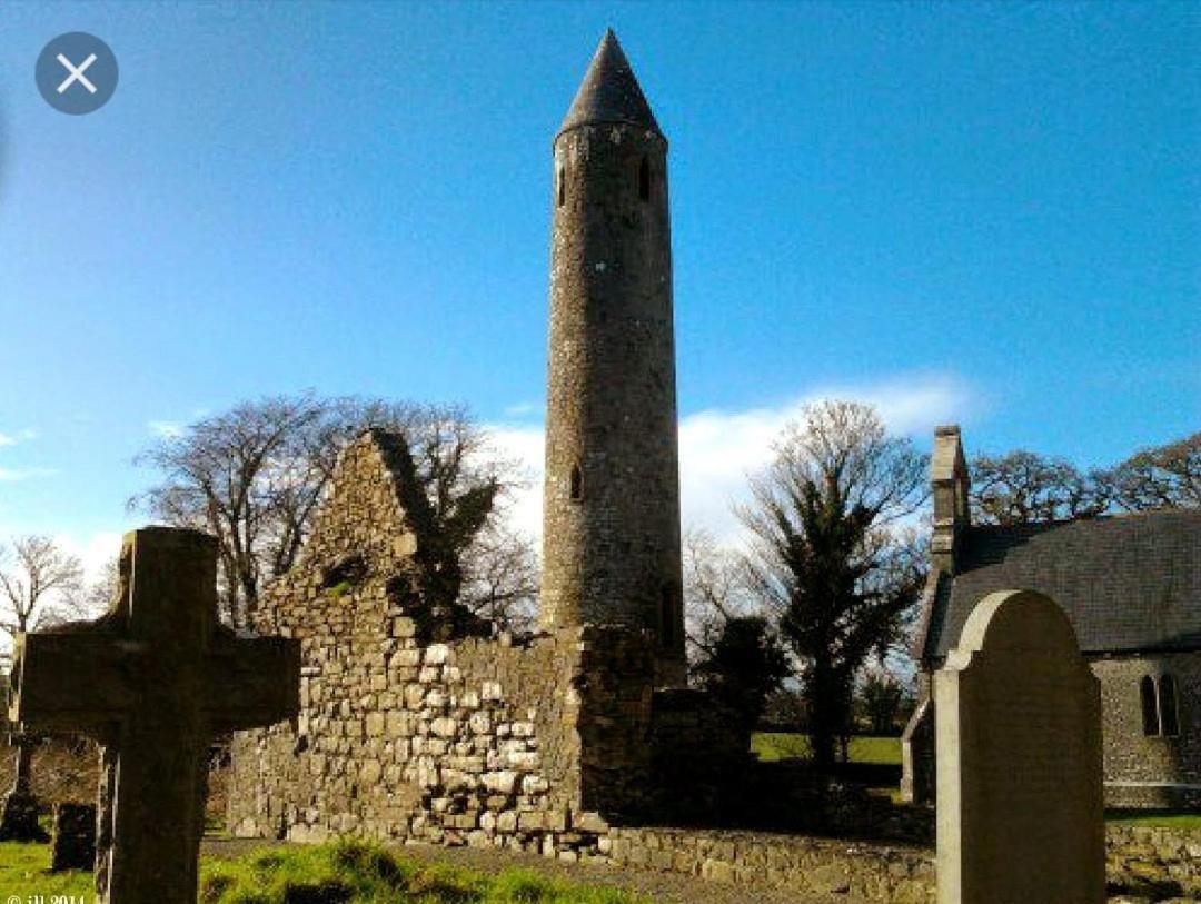 Oak House Laois B&B Portarlington Εξωτερικό φωτογραφία